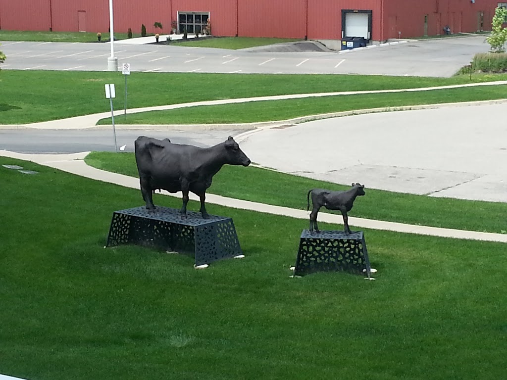 Holstein Association Of Canada | 20 Corporate Place, Brantford, ON N3R 8A6, Canada | Phone: (519) 756-8300