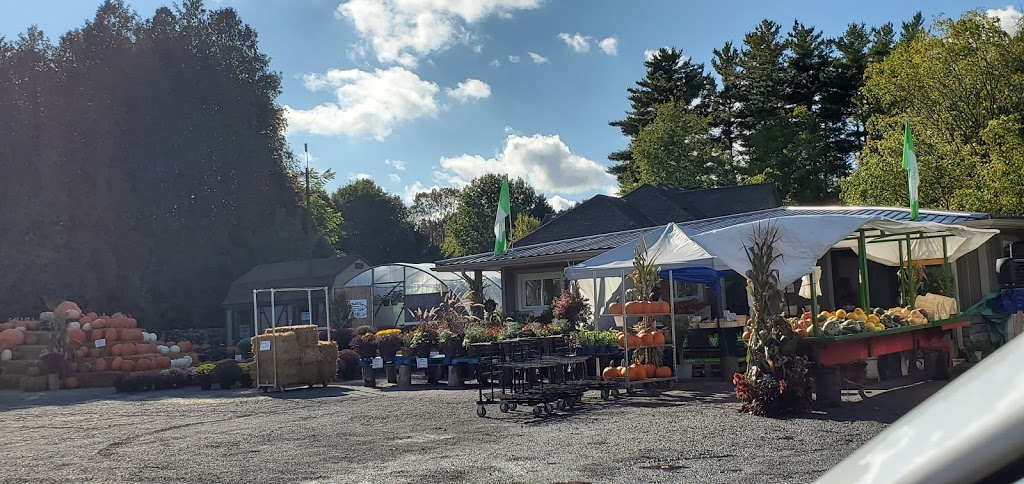 D & E Family Farm Market | 441 Vienna Rd, Eden, ON N0J 1H0, Canada | Phone: (519) 909-9890