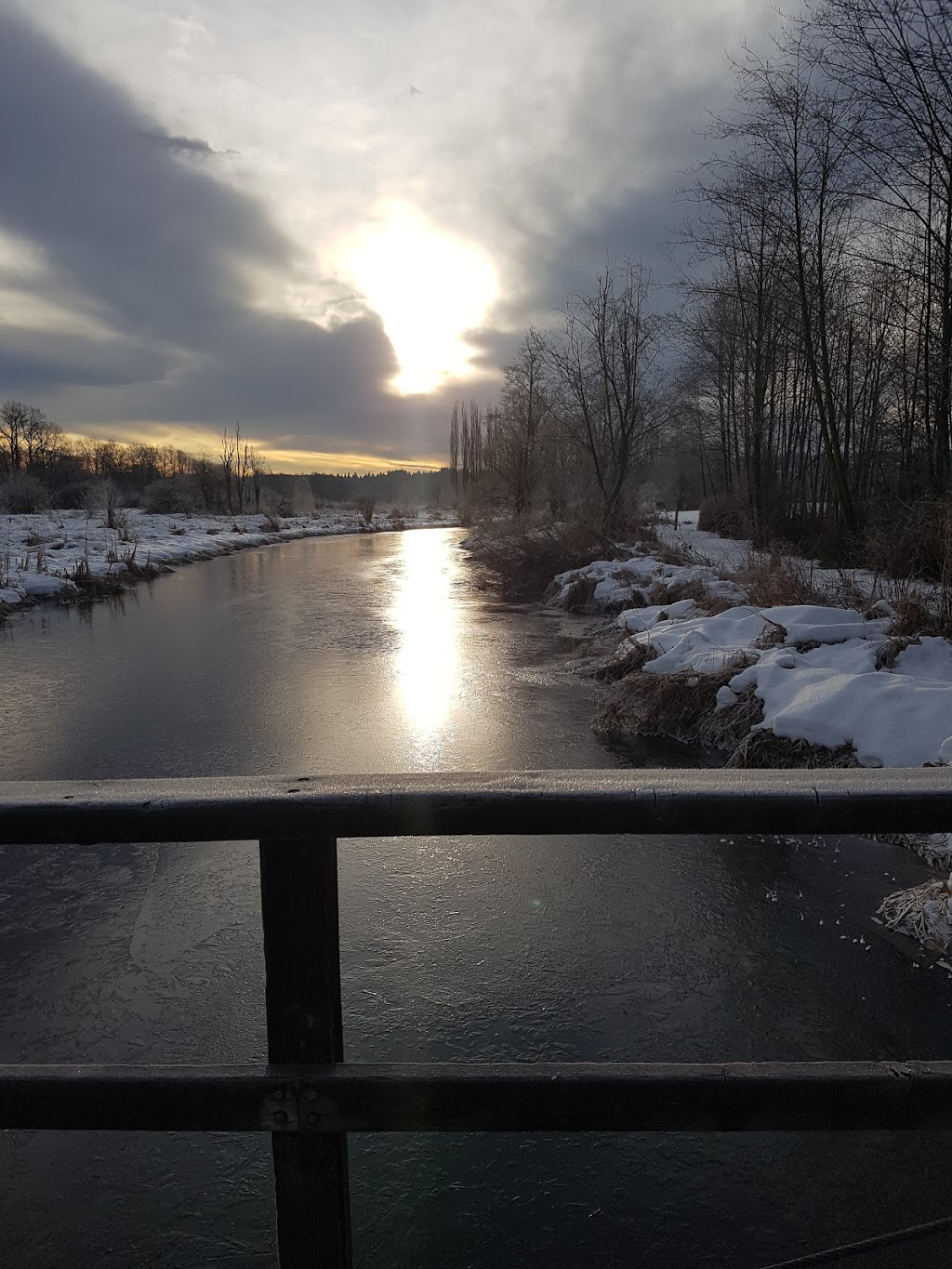 Still Creek | Still Creek trail, Burnaby, BC V5C 6C6, Canada