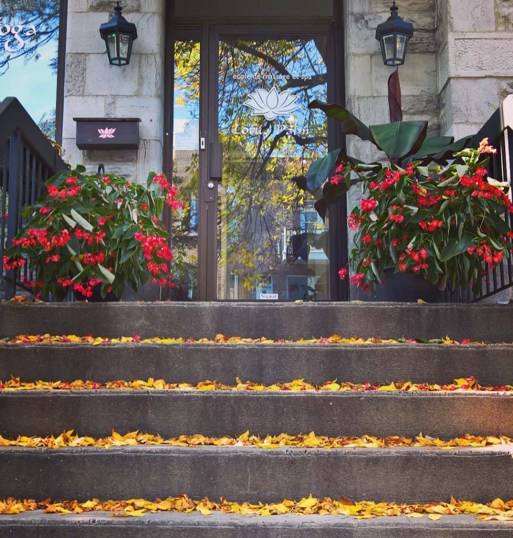 Lotus Palm Montreal | 5244 Rue Saint-Urbain, Montréal, QC H2T 2W9, Canada | Phone: (514) 270-5713