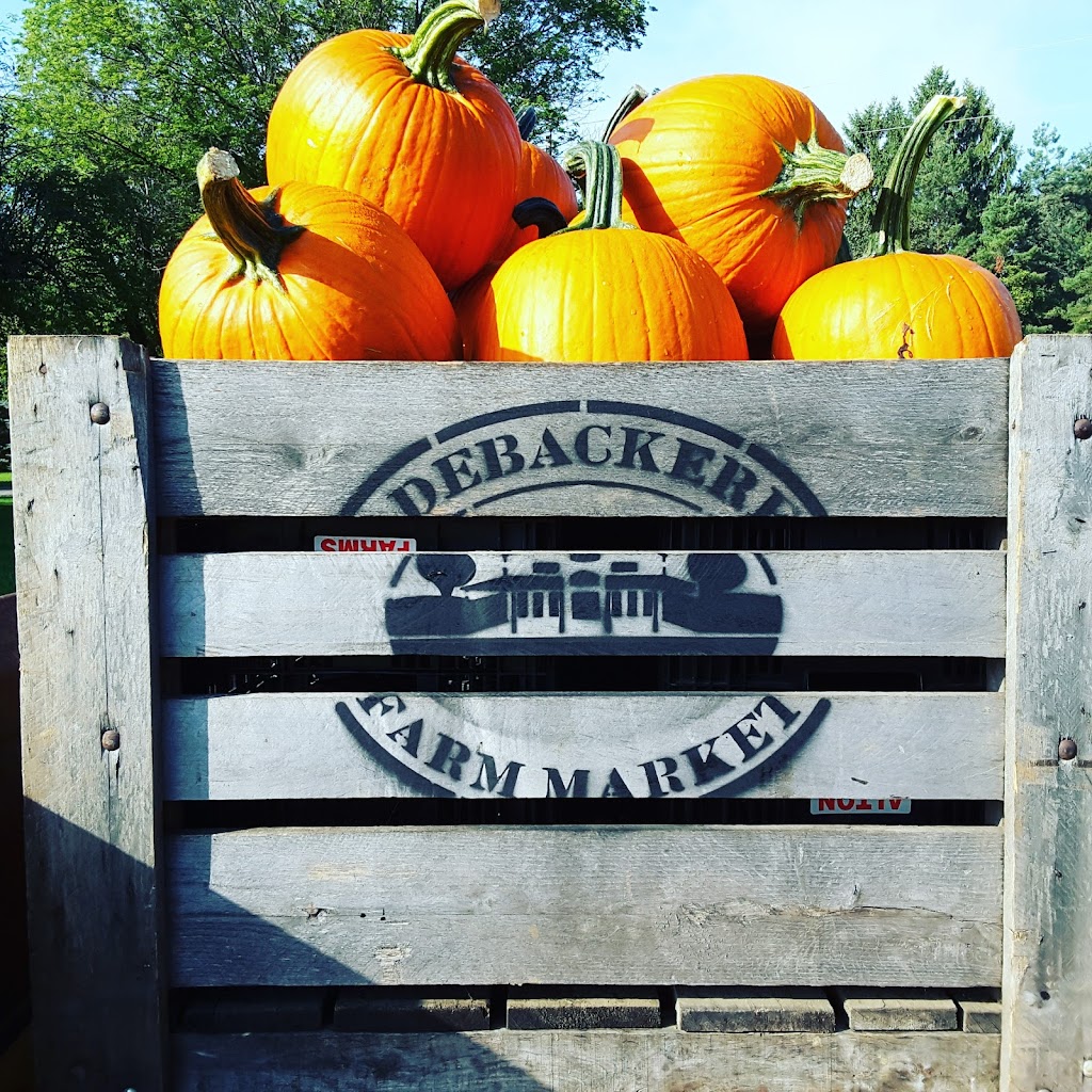 DeBackere Farm Market | 5680 Sunset Dr, Union, ON N0L 2L0, Canada | Phone: (519) 631-1370
