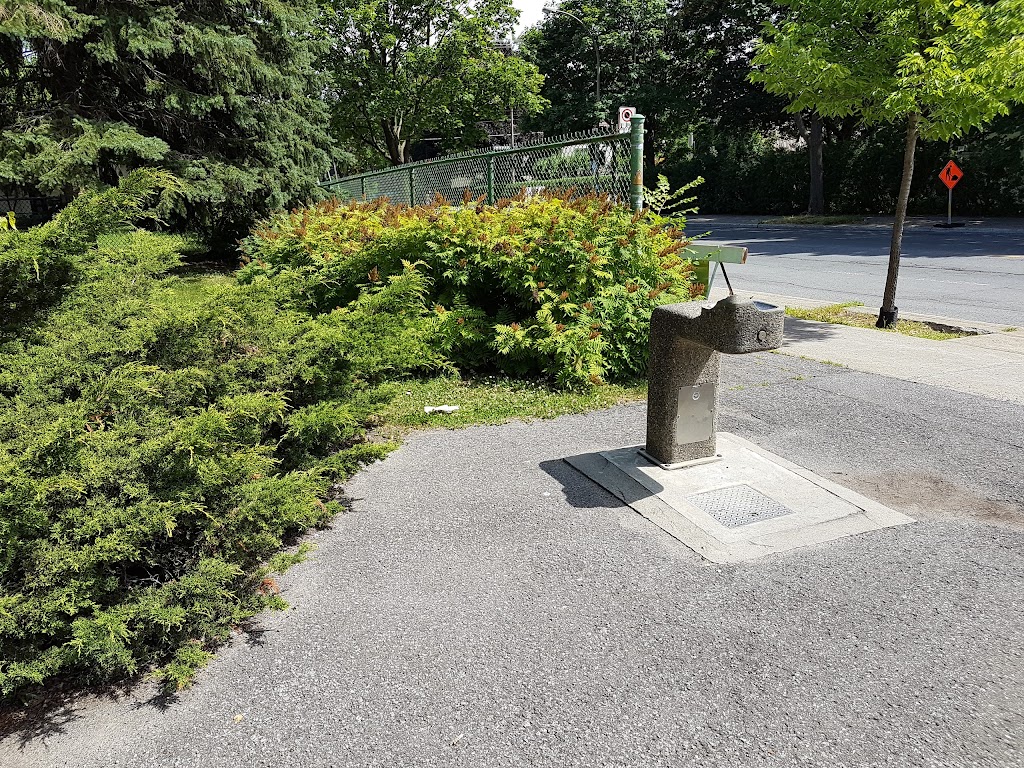 Parc Olivier-Guimond | 2723 Rue Dickson, Montréal, QC H1N, Canada | Phone: (514) 872-0311