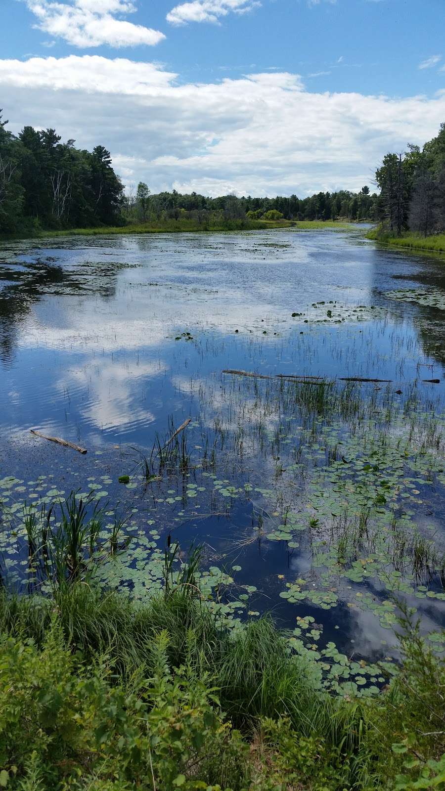 Pinery Provincial Park | 9526 Lakeshore Rd, Grand Bend, ON N0M 1T0, Canada | Phone: (519) 243-2220