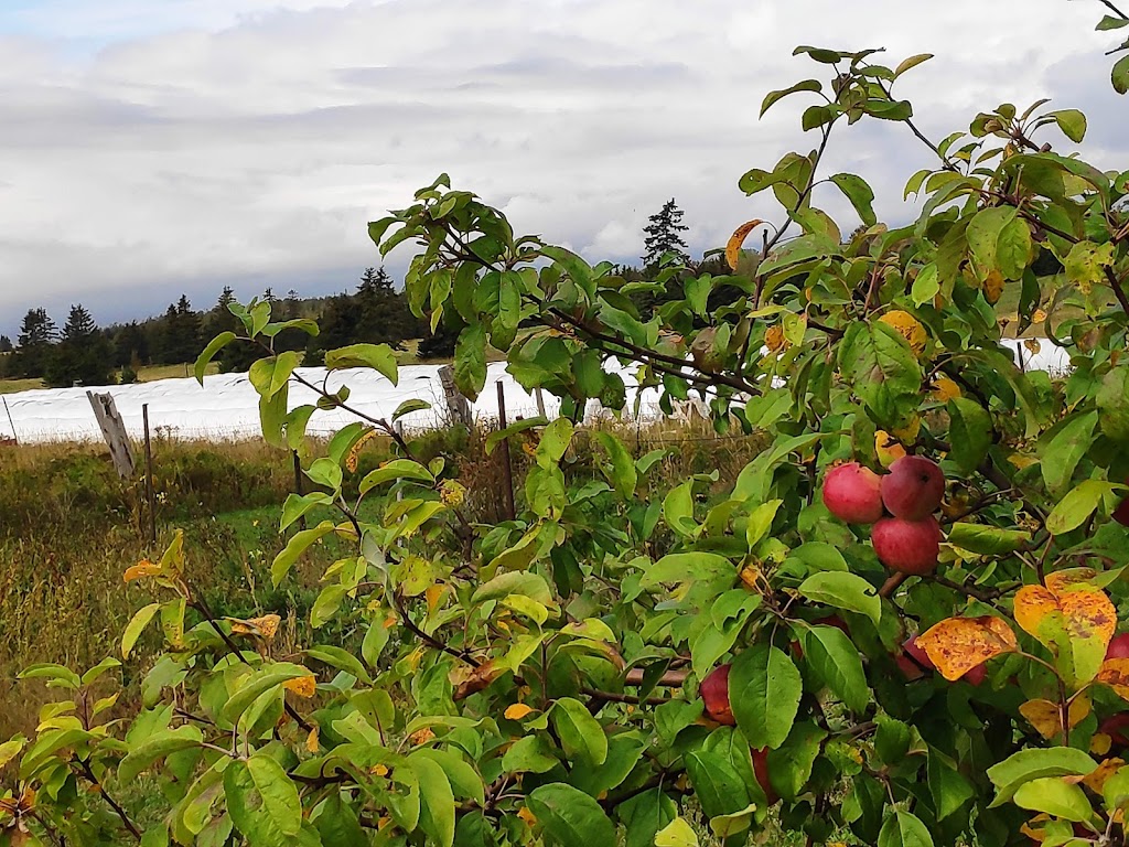 Canoe Cove Honey | 6718 PE-19, Canoe Cove, PE C0A 1H7, Canada | Phone: (902) 675-3690