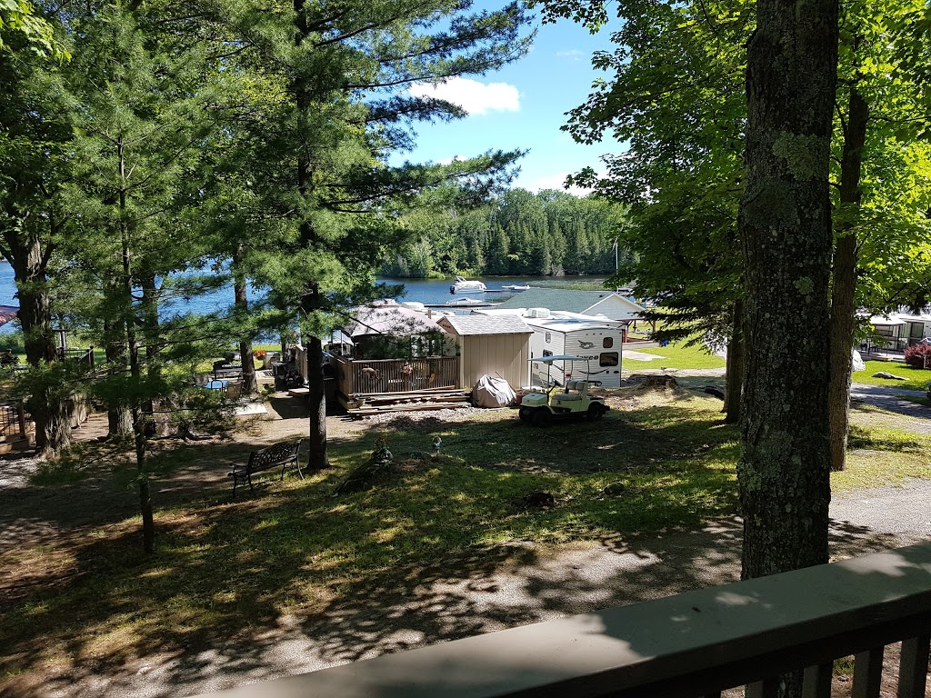 Ringtail Camp | 2045 Youngs Point Rd, Lakefield, ON K0L 2H0, Canada | Phone: (705) 652-7198