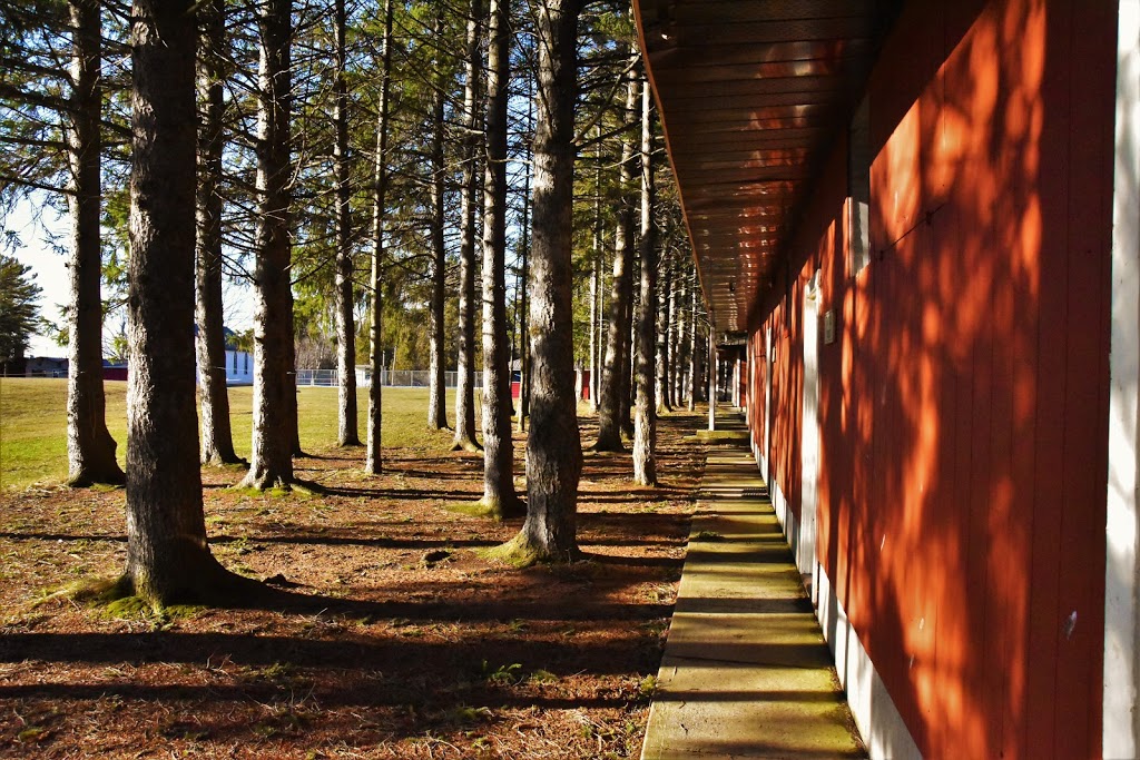 Camp Menesetung | 82190 Church Camp Rd, Goderich, ON N7A 3Y3, Canada | Phone: (519) 524-6497