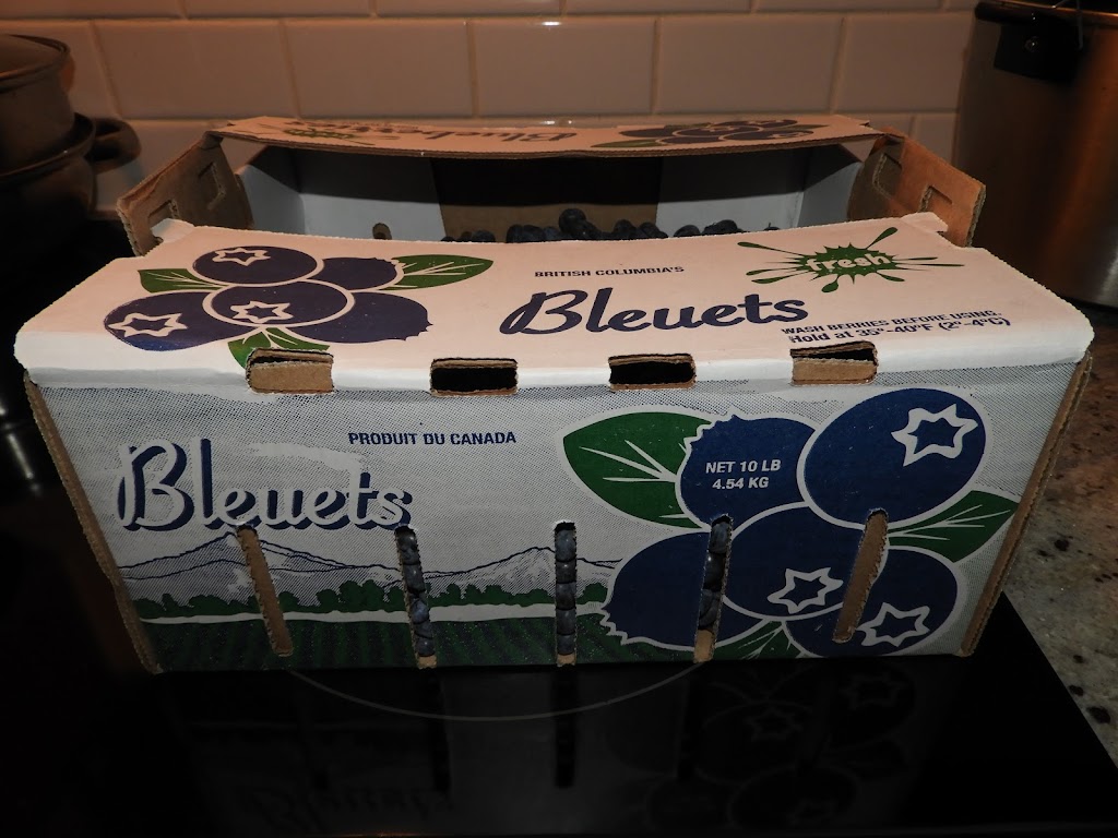 Blueberry Farm | 15211 72 Ave, Surrey, BC V3S 2G4, Canada | Phone: (778) 536-5951