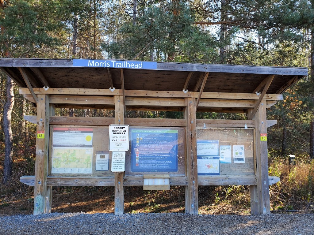 Northumberland County Forest - Morris Rd. Parking | 6607 45, Baltimore, ON K0K 1C0, Canada | Phone: (905) 372-3329 ext. 2303