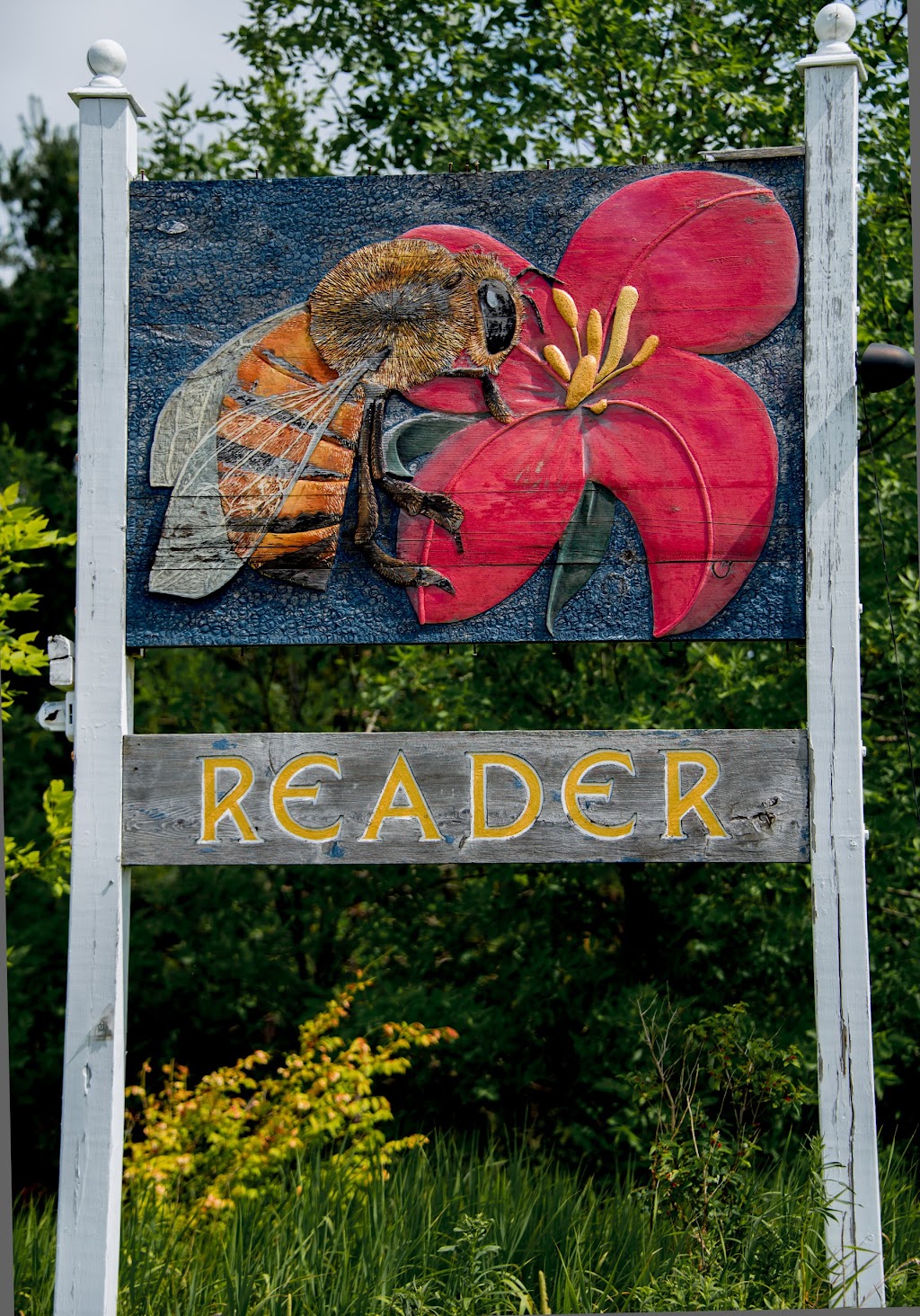 Pure Caledon Hills Honey | 17895 Heart Lake Rd, Caledon Village, ON L7K 2A3, Canada | Phone: (519) 927-3376