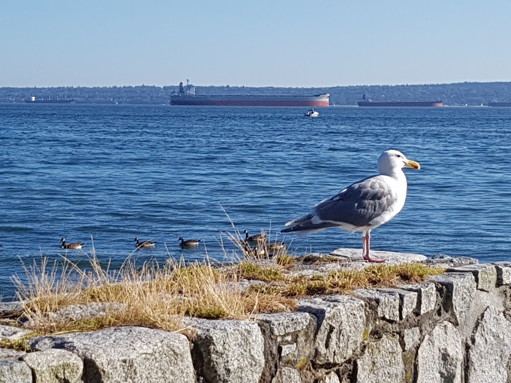 Dundarave Park | 25th St, West Vancouver, BC V7V 4H8, Canada | Phone: (604) 925-7275