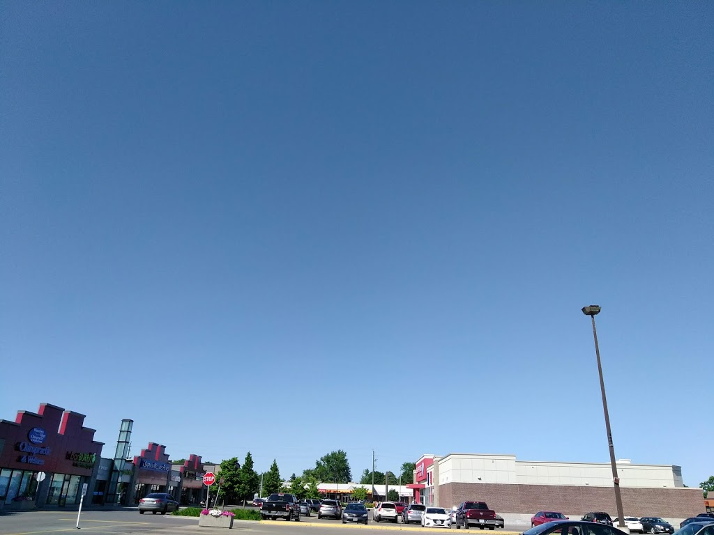 Waterdown Shopping Centre | 255 Dundas St E, Waterdown, ON L0R 2H6, Canada
