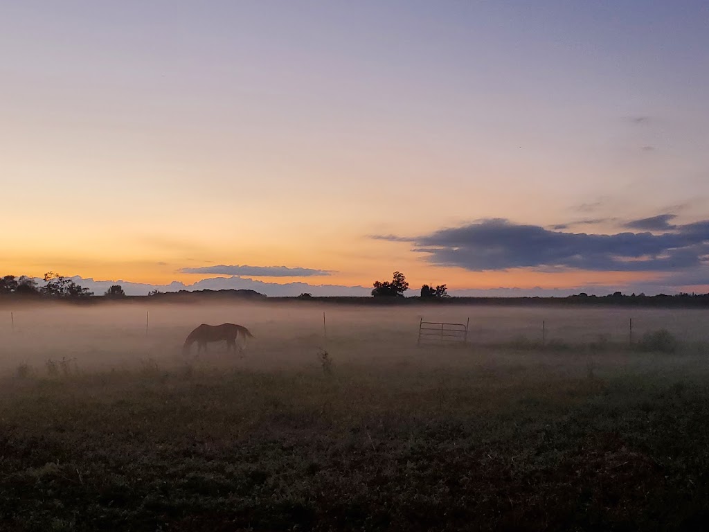The Middle Farm | 043639 Southgate rd. 4, Mount Forest, ON N0G 2L0, Canada | Phone: (519) 323-8349