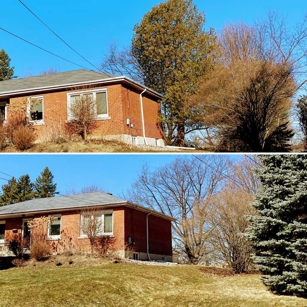 FRASER TREE CARE: Hamilton, Burlington, Stoney Creek, Grimsby | 752 Green Mountain Rd E, Stoney Creek, ON L8J 3A8, Canada | Phone: (905) 526-0502