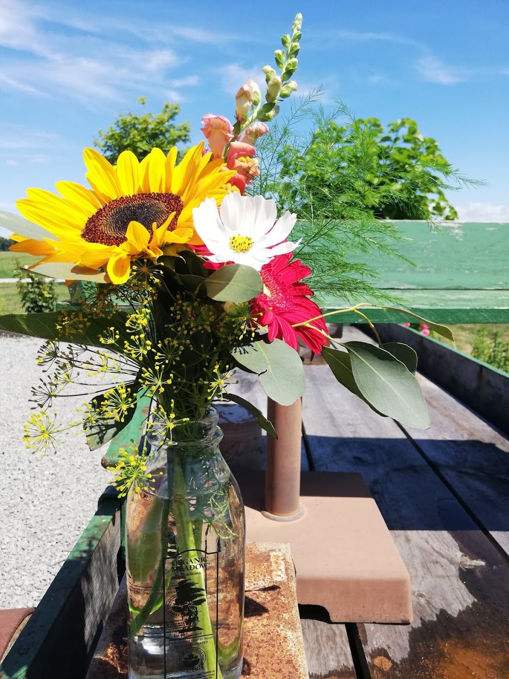 Whites Creek Flower Farm | 1125 Concession Rd 7, Beaverton, ON L0K 1A0, Canada | Phone: (705) 928-2910