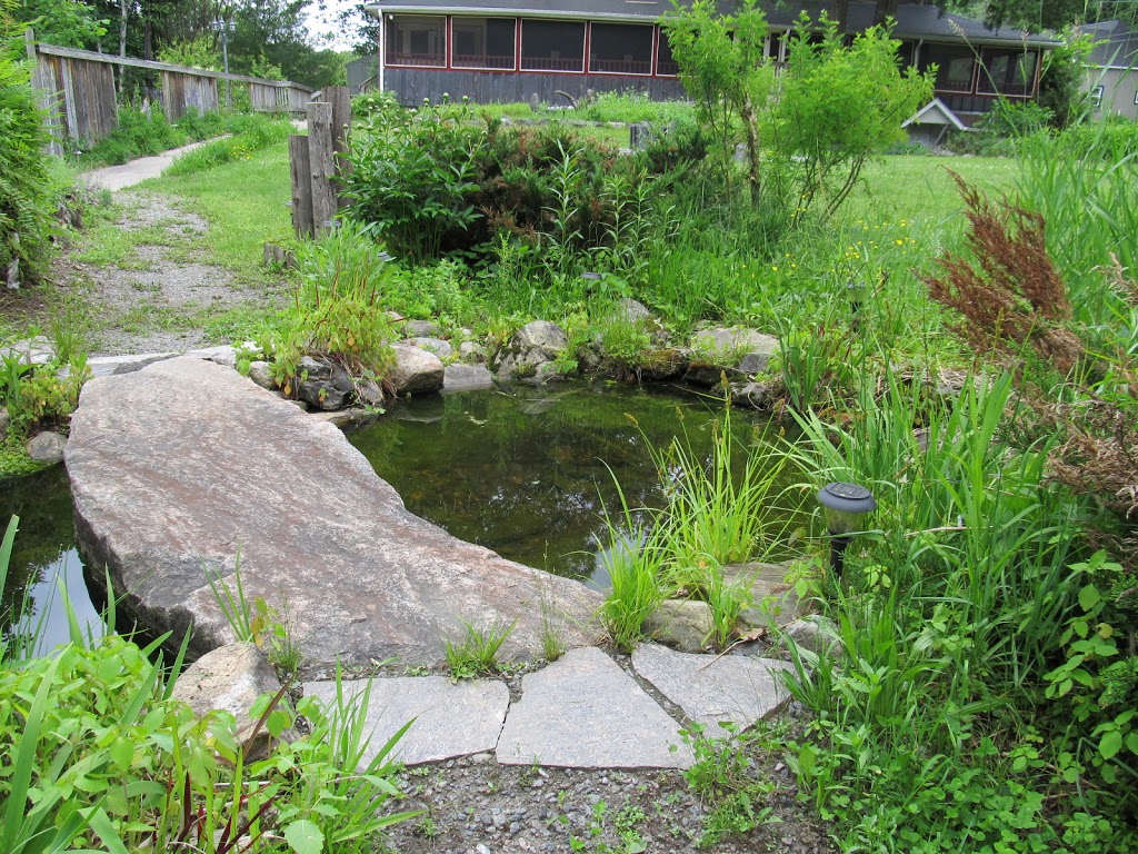 Marys Lakeside Grill | 656 Muskoka District Road 10, Port Sydney, ON P0B 1L0, Canada | Phone: (705) 385-8800