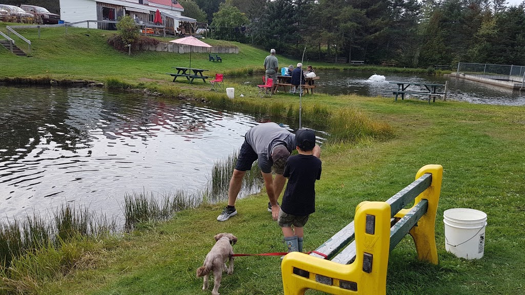 Pisciculture Tardif & Fils pêche en étang et ensemencement truite. | 550 Rang Petit Beloeil, Saint-Côme, QC J0K 2B0, Canada | Phone: (450) 883-1748