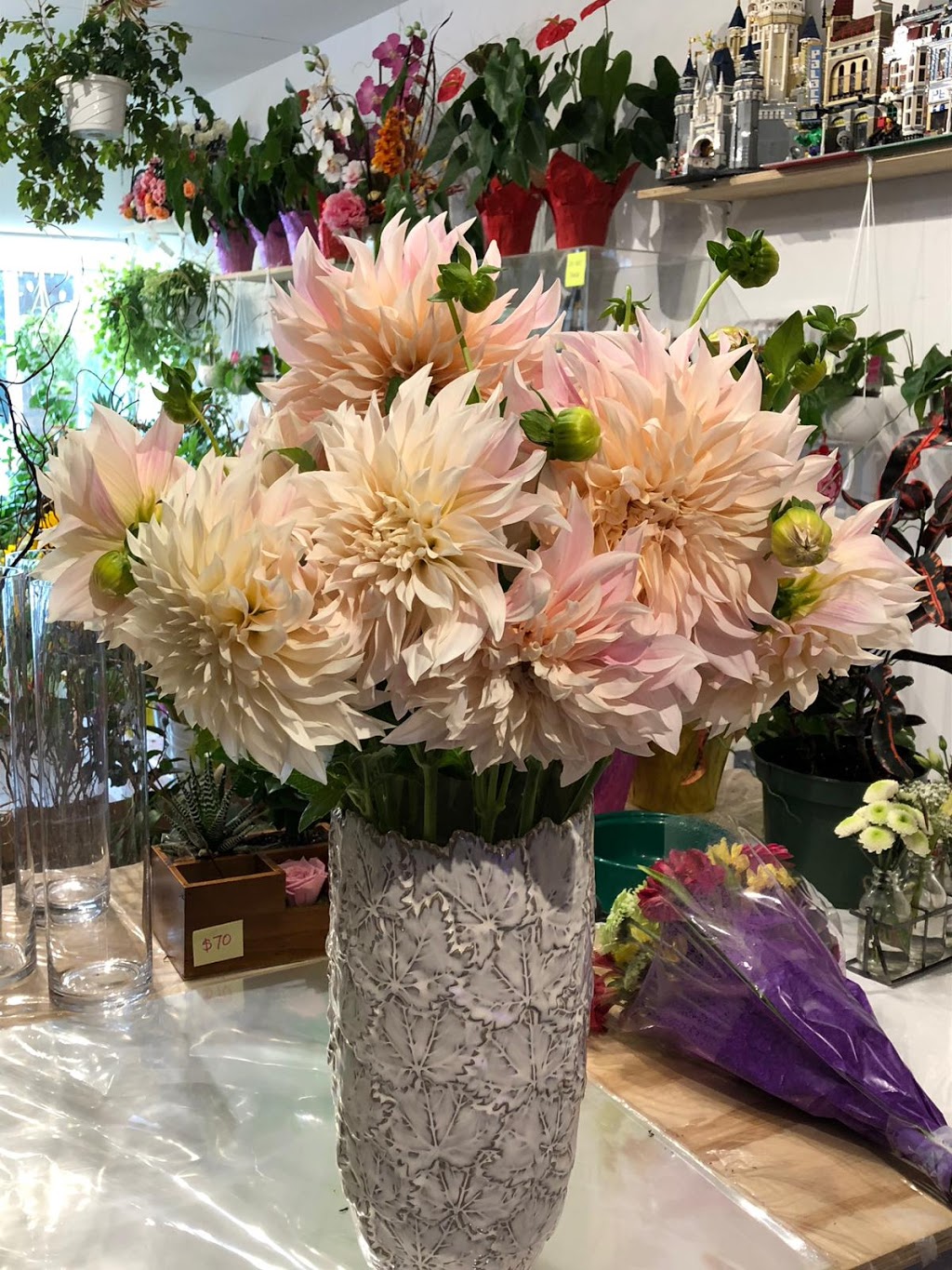 Hepatica Florist | Canada, British Columbia, Burnaby, Park Crest Plaza Unit 4 5901 Broadway Street Burnaby BC V5B 2Y1邮政编码: V5B 2T4 | Phone: (778) 991-6879