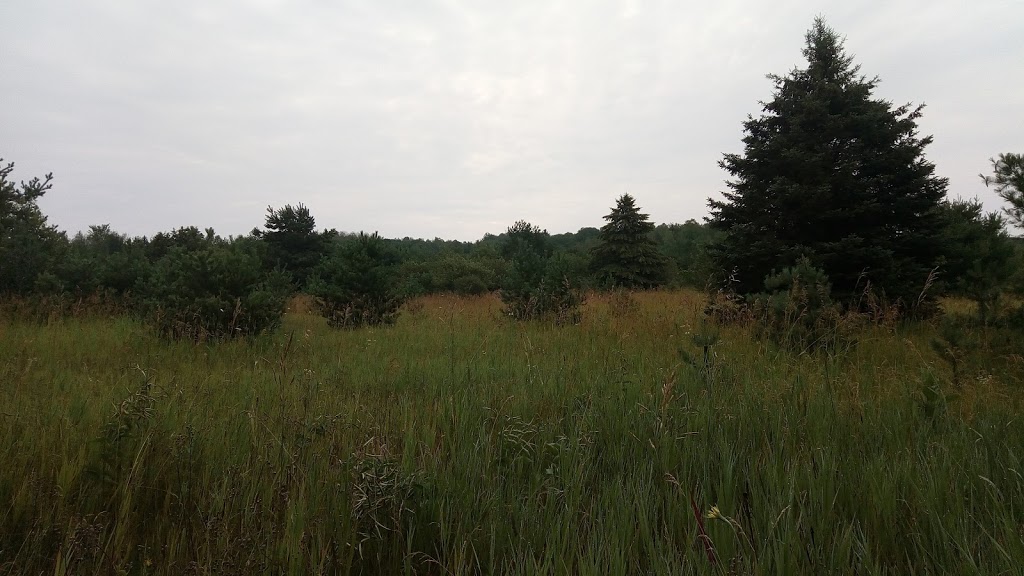 Pigeon River Conservation Area | 445 Gray Road, Kawartha Lakes, ON L0B 1K0, Canada | Phone: (705) 328-2271