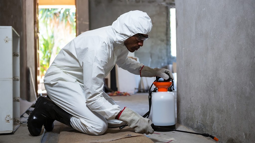 TOPLINE Pest Control | 21 Panamount St NW, Calgary, AB T3K 0H2, Canada | Phone: (403) 813-3666