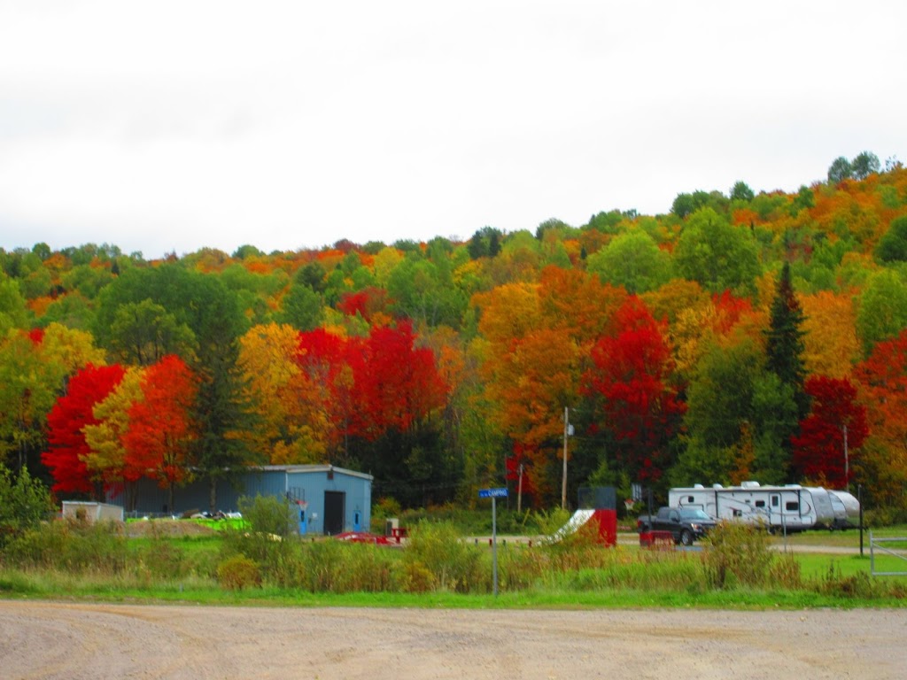 Camping Parc De VR Royal Papineau | 237 Chemin du Golf, Notre-Dame-de-la-Salette, QC J0X 2L0, Canada | Phone: (819) 766-2826