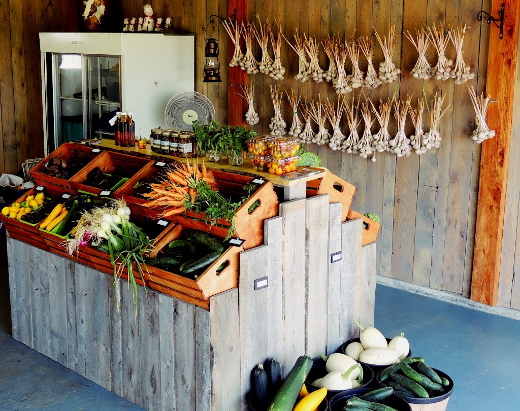 Ferme Du Sillon & Boutique Le Sillon des Saveurs | 151 Rang St Stanislas E, Saint-Alexandre-de-Kamouraska, QC G0L 2G0, Canada | Phone: (418) 495-5331