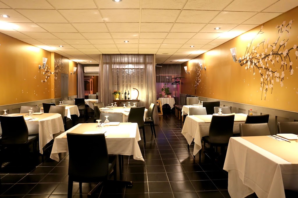 Mekong | 637 Somerset St W, Ottawa, ON K1R 5K3, Canada | Phone: (613) 237-7717