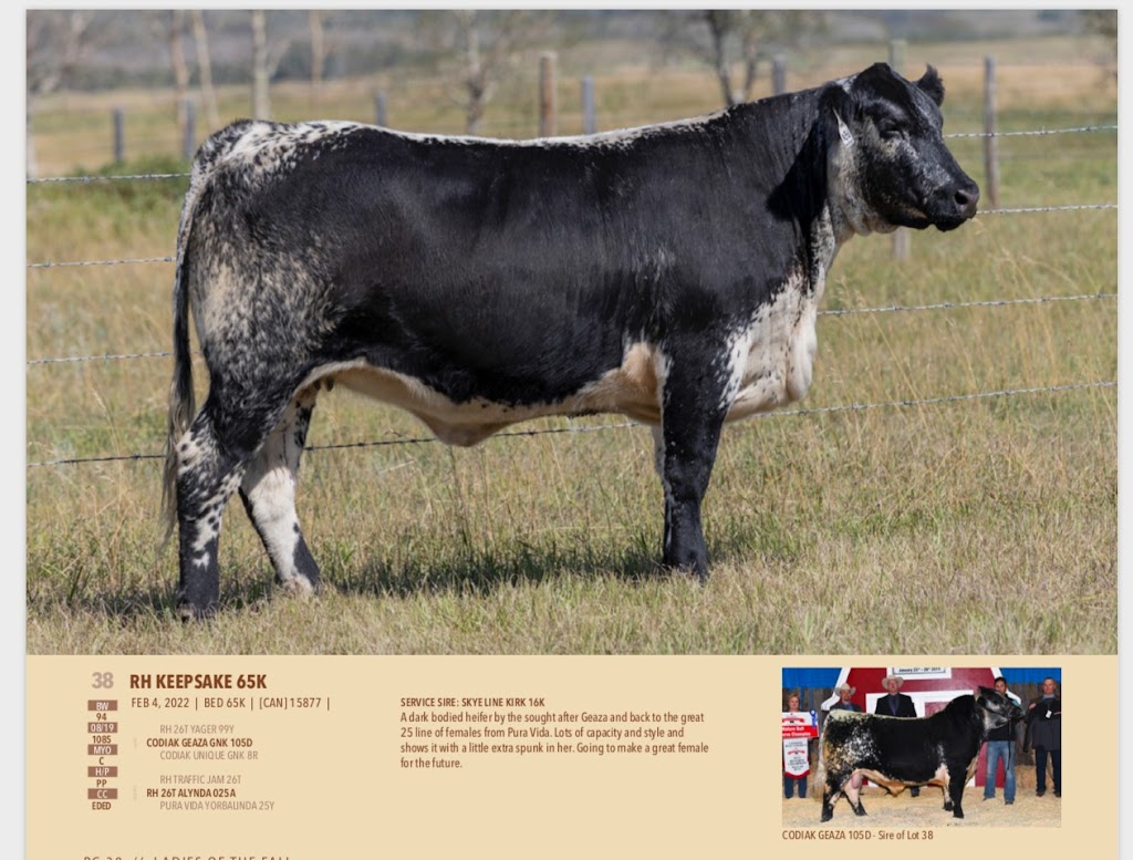 Trestle Creek Cattle Company | 7079 Line 21, Staffa, ON N0K 1Y0, Canada | Phone: (519) 301-2476