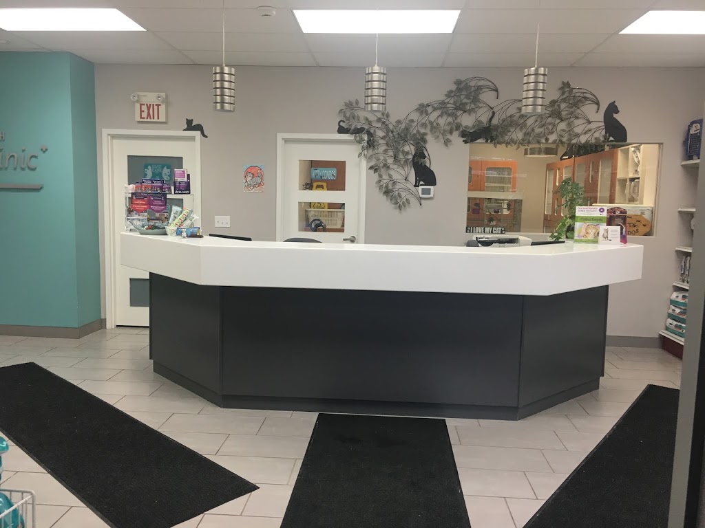 Guelph Cat Clinic | 15 Surrey St W #4, Guelph, ON N1H 3R3, Canada | Phone: (519) 821-2287