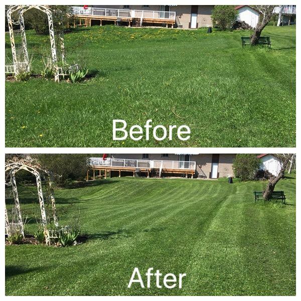 Wolf Lawn Care | 1673 Gazelle Trail, Lakefield, ON K0L 2H0, Canada | Phone: (705) 931-0214