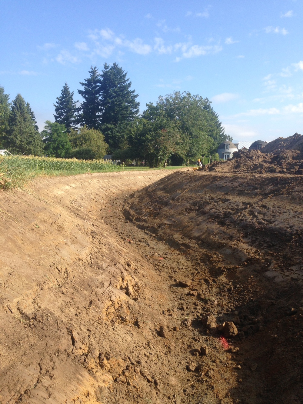Element Excavating Ltd | 9828 Grigg Rd, Chilliwack, BC V2P 6H4, Canada | Phone: (604) 798-0041