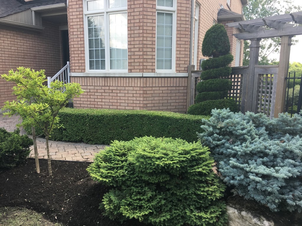iTrim4U | 5 Carlow Ct, Whitby, ON L1N 2T6, Canada | Phone: (905) 259-5138
