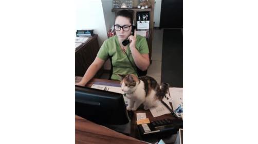 Veterinary Hospital Inc. Roussillon. | 5022 QC-132, Sainte-Catherine, QC J5C 1L8, Canada | Phone: (450) 638-1825