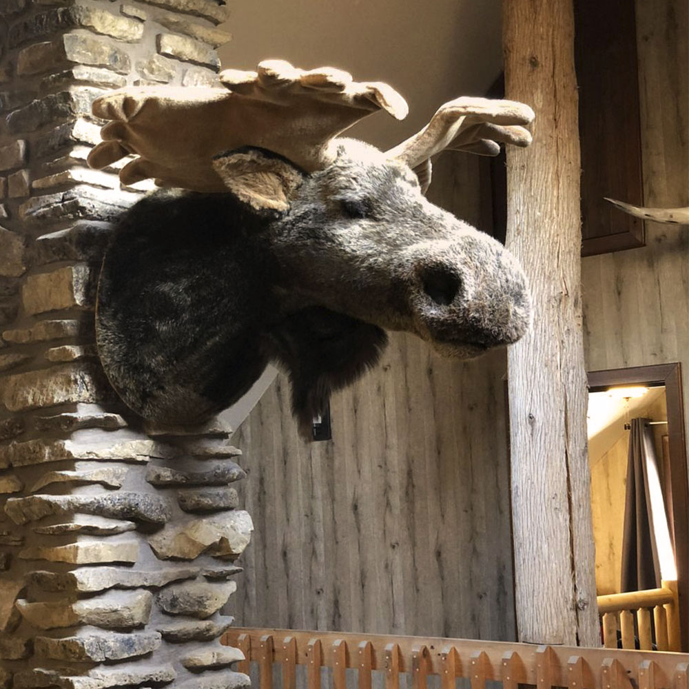 David Ranch Resort Inc. | 2858 Kawartha Lakes County Rd 45, Norland, ON K0M 2L0, Canada | Phone: (705) 454-1000