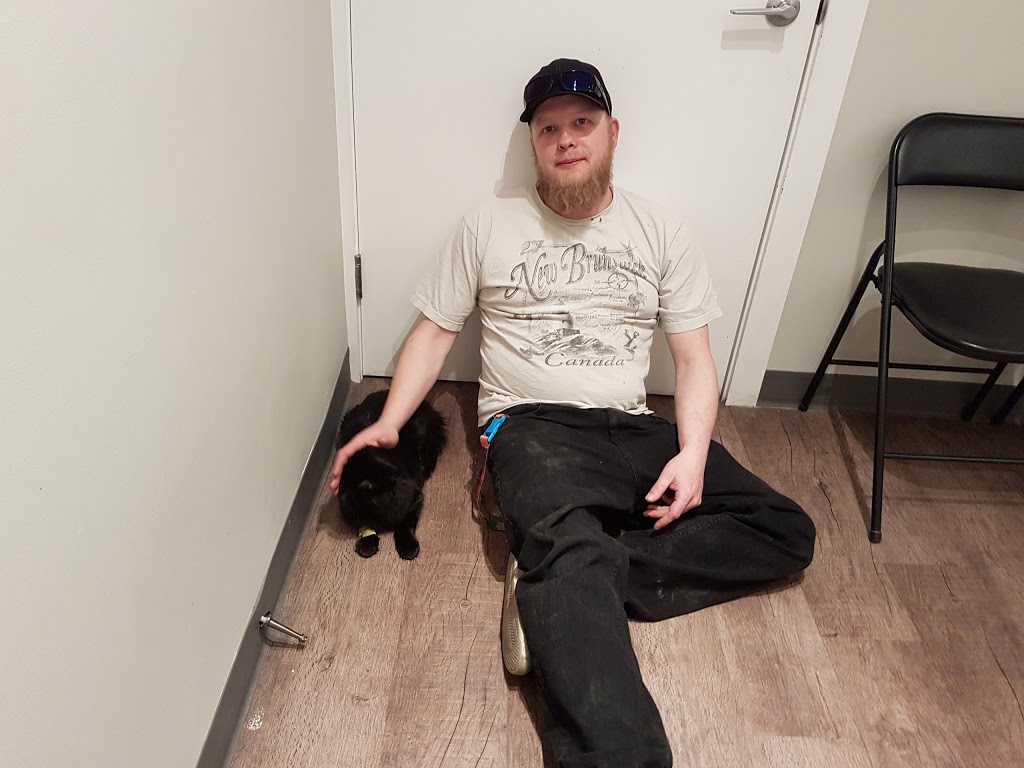 Calgary Pet Wellness and Spay & Neuter Clinic | 3563 52 St SE, Calgary, AB T2B 3R3, Canada | Phone: (403) 569-7387