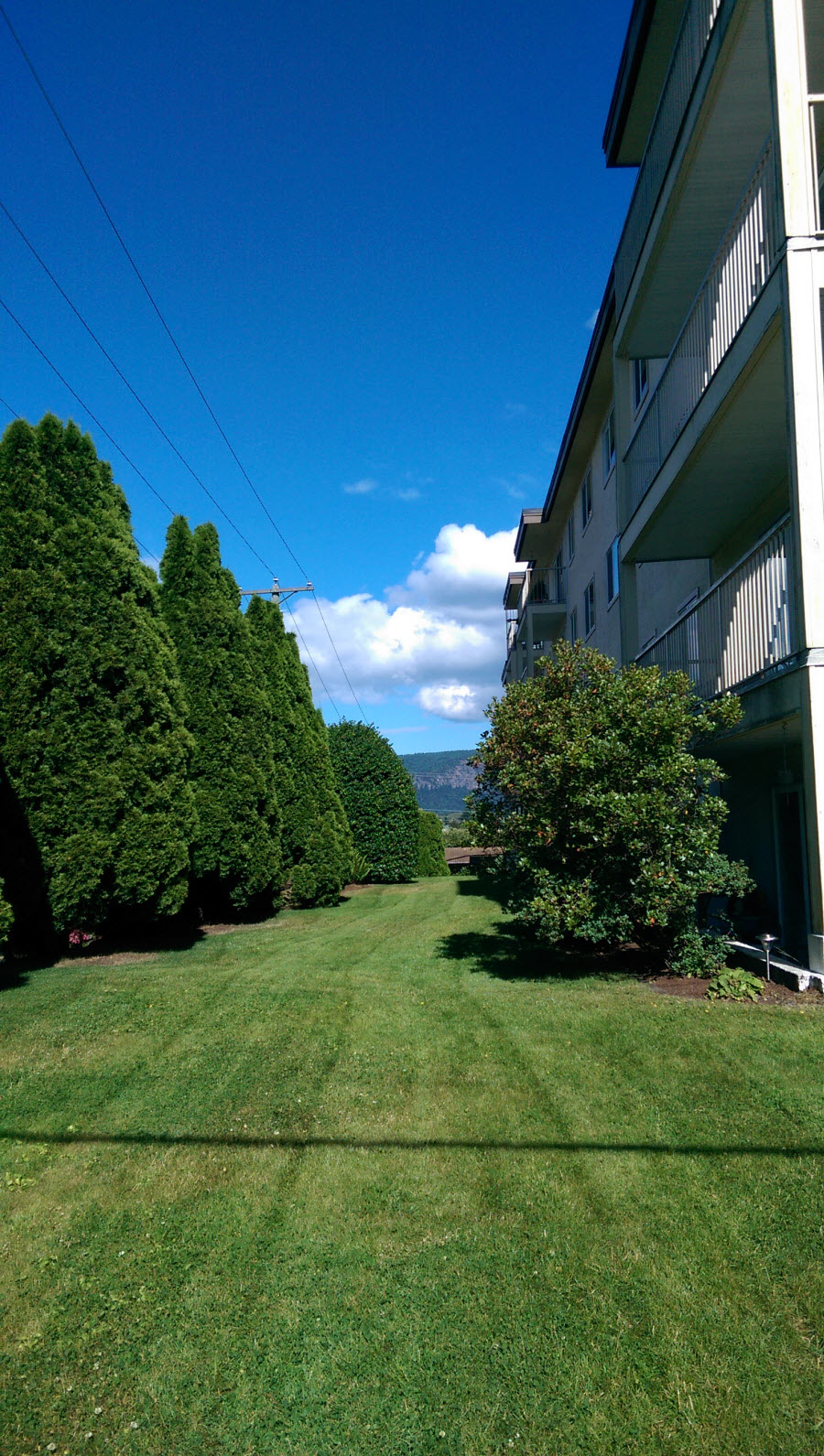 Cyran Gardens Landscape Design | 230 Day Rd, Duncan, BC V9L 3K1, Canada | Phone: (250) 732-8122