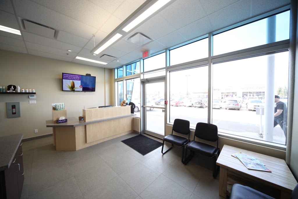 Mercy Animal Hospital | 15825 97 St NW, Edmonton, AB T5X 0C7, Canada | Phone: (780) 406-1400