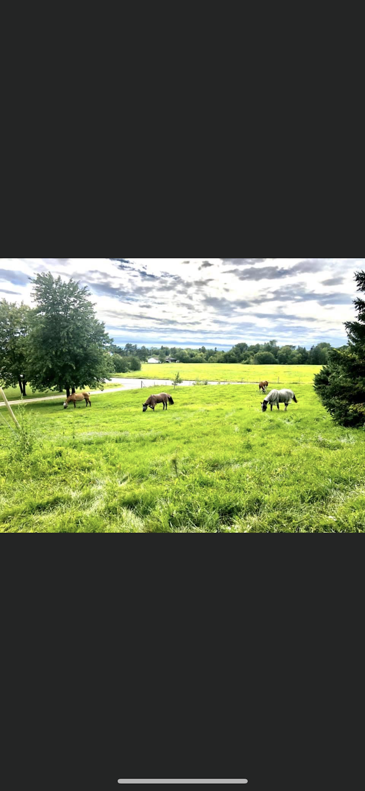 ferme Du-Rocail | 620 QC-148, Thurso, QC J0X 3B0, Canada | Phone: (819) 230-0576