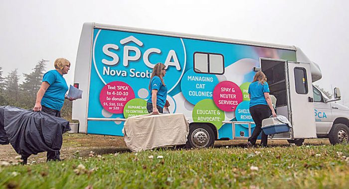 Colchester SPCA | 408 Industrial Ave, Truro, NS B2N 6Z6, Canada | Phone: (902) 893-7968