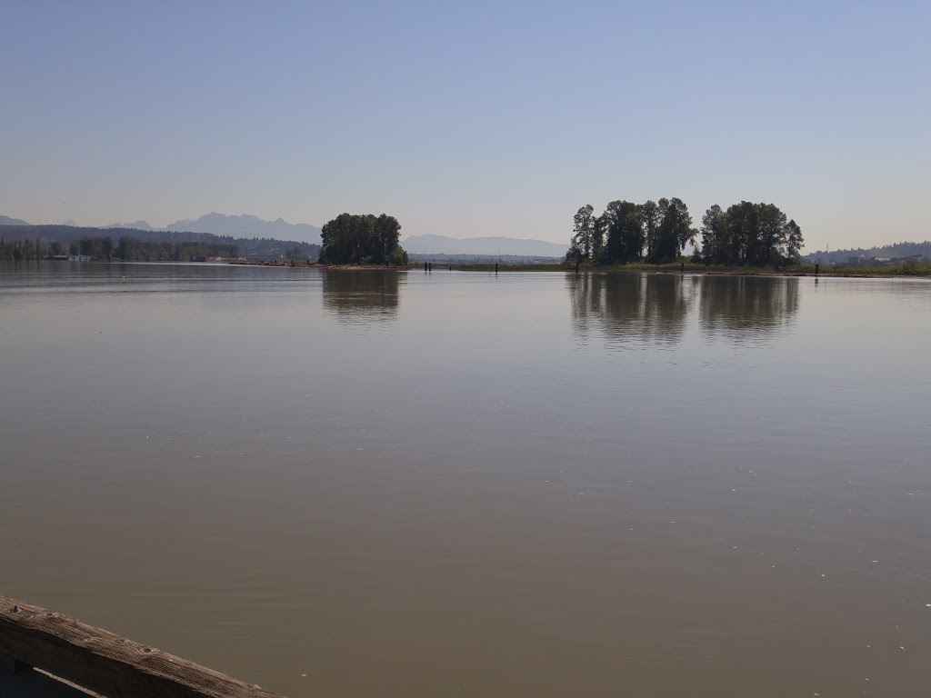 Sapperton Landing Park | New Westminster, BC V3L 1H9, Canada