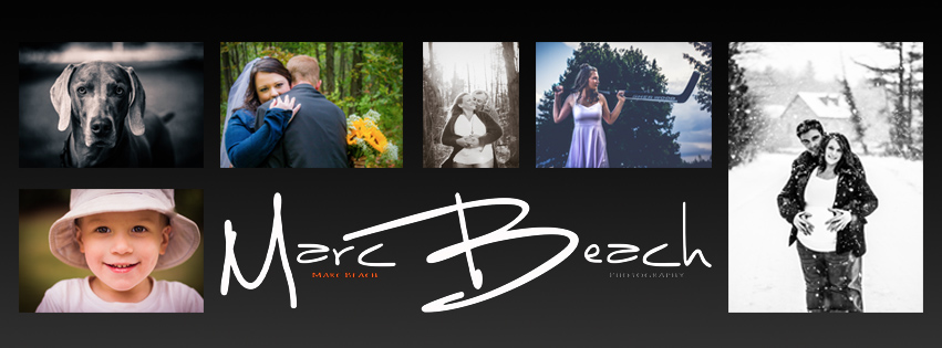 Marc Beach Photography | 150 Osborne Rd, Athens, ON K0E 1B0, Canada | Phone: (613) 802-1030