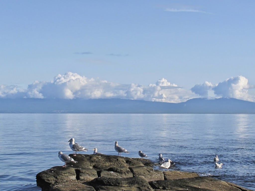 VANCOUVER ISLAND ELES ESCAPE B&B by the SEA | 7461 Lantzville Rd, Lantzville, BC V0R 2H0, Canada | Phone: (250) 933-4837