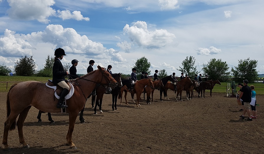 Willowdale Equine Centre | point of interest | 26437 Township Rd 374, Red Deer, AB T0M 1R0, Canada | 4033408505 OR +1 403-340-8505