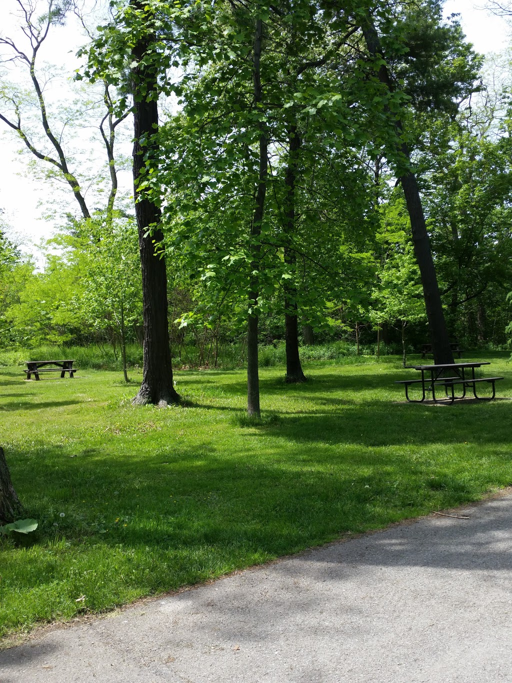 Locust Grove Picnic Area | 14888 Niagara Pkwy, Queenston, ON L0S 1L0, Canada