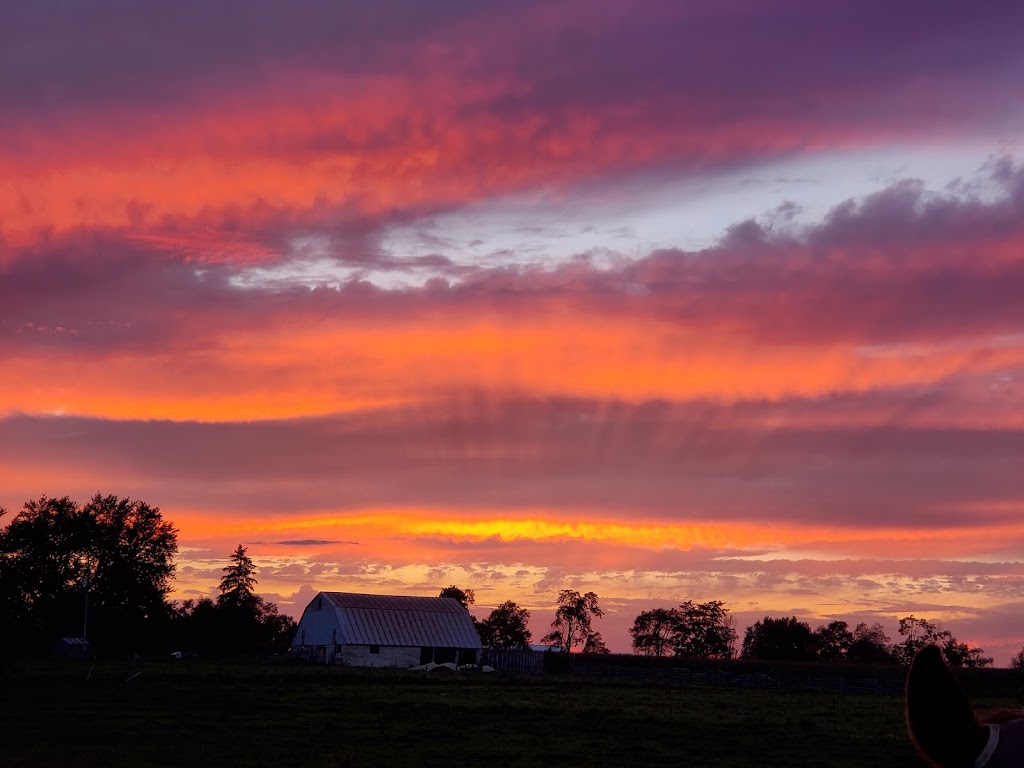 The Middle Farm | 043639 Southgate rd. 4, Mount Forest, ON N0G 2L0, Canada | Phone: (519) 323-8349