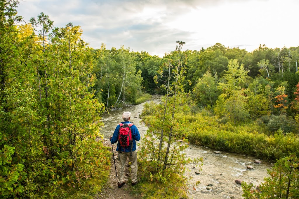 Vista Trail Trailhead | 1749 Meadowvale Rd, Scarborough, ON M1B 5W8, Canada | Phone: (416) 264-2020