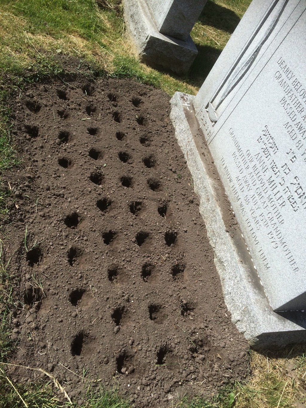 The Dawes Road Cemeteries | 3169 St Clair Ave E, Scarborough, ON M1L 1V5, Canada | Phone: (416) 755-3411