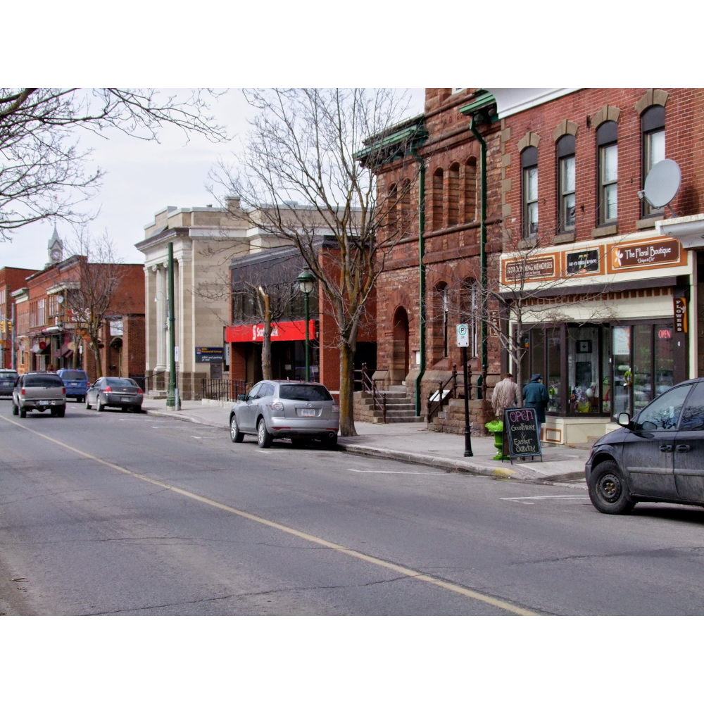 SURROUNDING MEMORIES custom picture framing, gallery & giftshop | 77 Bridge St, Carleton Place, ON K7C 2V4, Canada | Phone: (613) 257-1301