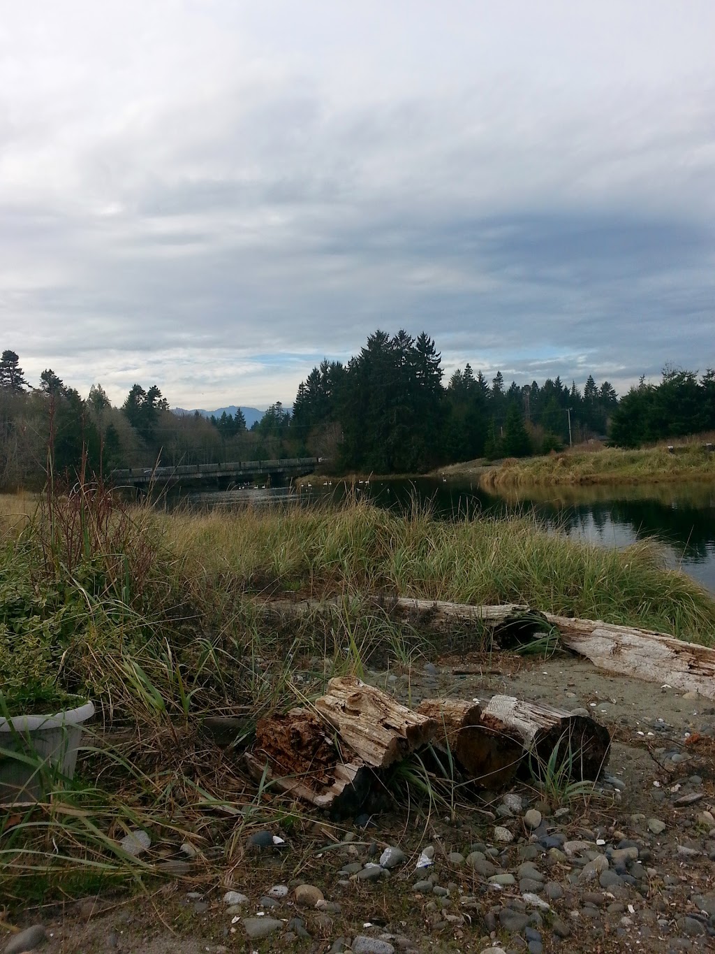 Josh Muise Designs | 19 - 5251 Island Highway, 5251 Island Hwy W, Qualicum Beach, BC V9K 2C1, Canada | Phone: (902) 482-2809