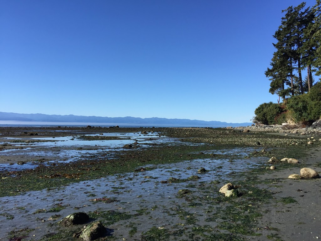 Greenaway Realty Ltd | 2 6631 Sooke Rd, Sooke, BC V9Z 0A3, Canada | Phone: (250) 216-3188