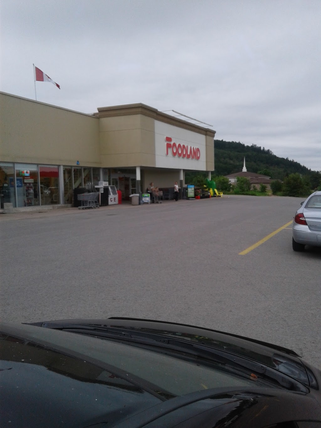 Foodland - Bancroft | 337 Hastings St N, Bancroft, ON K0L 1C0, Canada | Phone: (613) 332-6664
